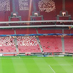 Benfica at the Estádio da Luz