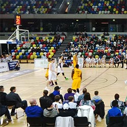 London Lions at the Copper Box